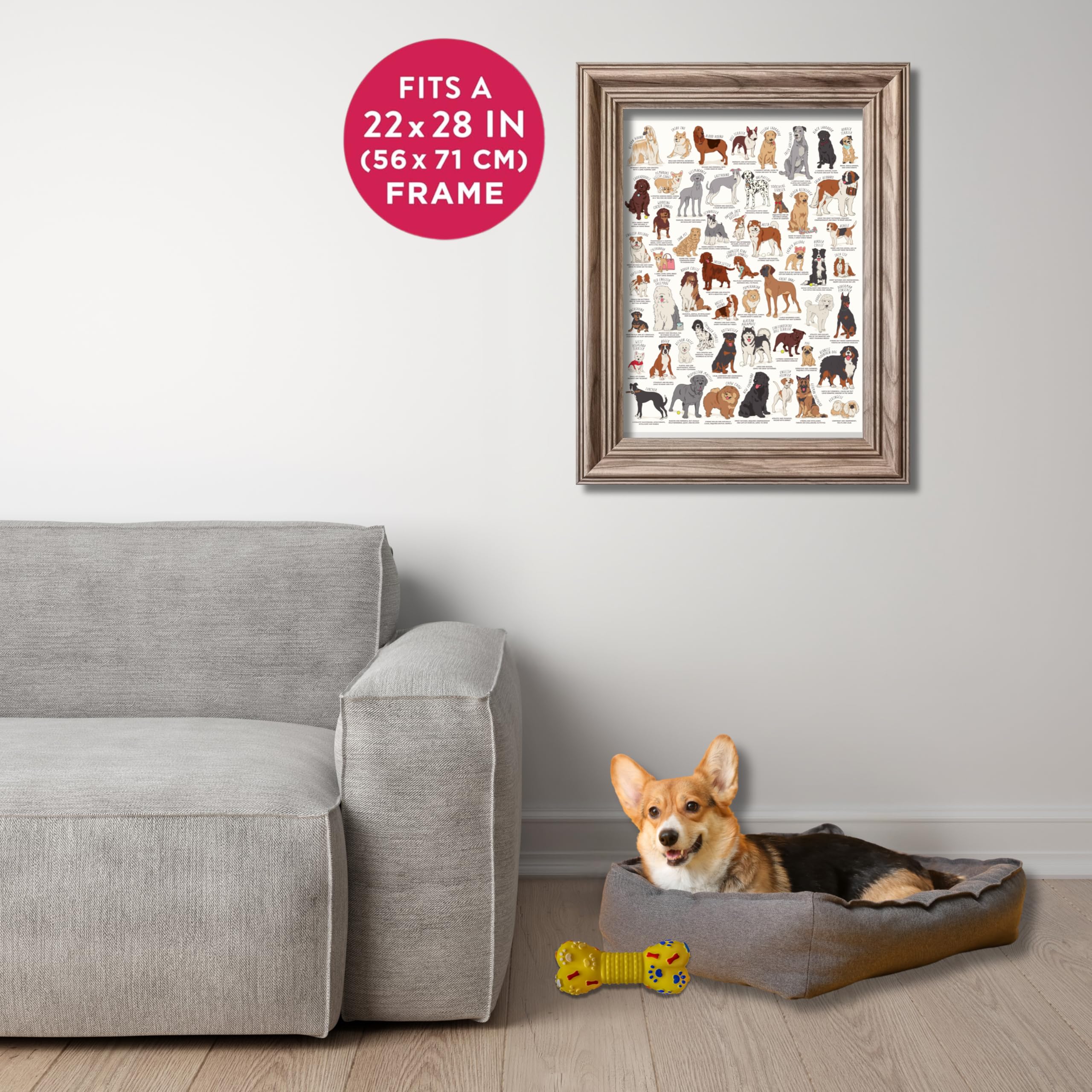 Amazon | Ridley's Dog Lover's 1,000ピース ジグソーパズル - 犬